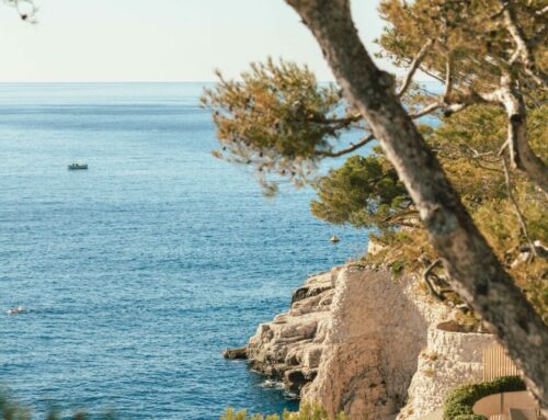 Hôtel Les Roches Blanches – Hôtel spa 5* & restaurant gastronomique